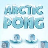 Arctic Pong Arctic Pong
